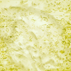 Olive Oil Styling Gel