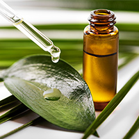 Tea tree oil ingredient in ECO STYLE products