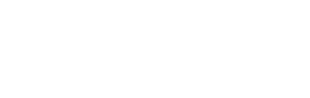 ECO STYLE logo